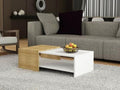 Coffee Table - 40 x 50 x 100 cm - White & Wood - CT14