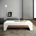Coffee Table - 45 x 60 x 120 cm - Wood & White - CT76