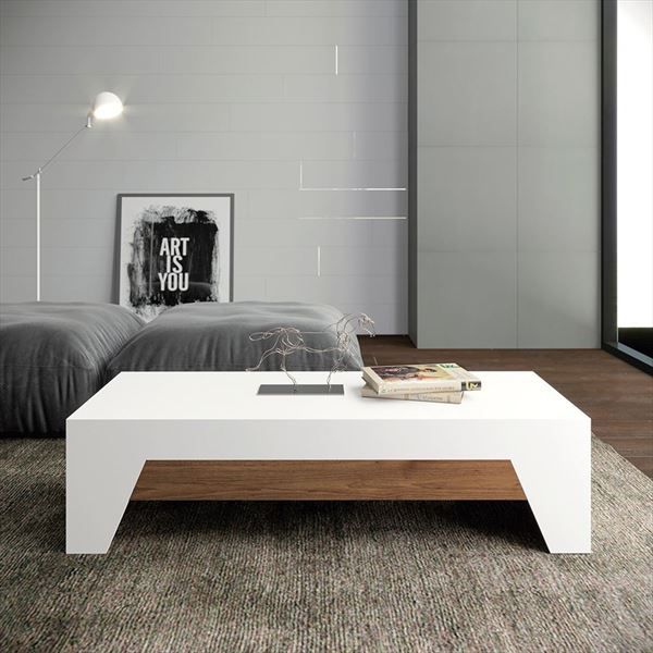 Coffee Table - 45 x 60 x 120 cm - Wood & White - CT76